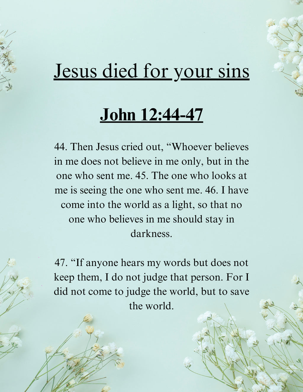 Bible 1st Bible Basics for adults (Physical Copy)