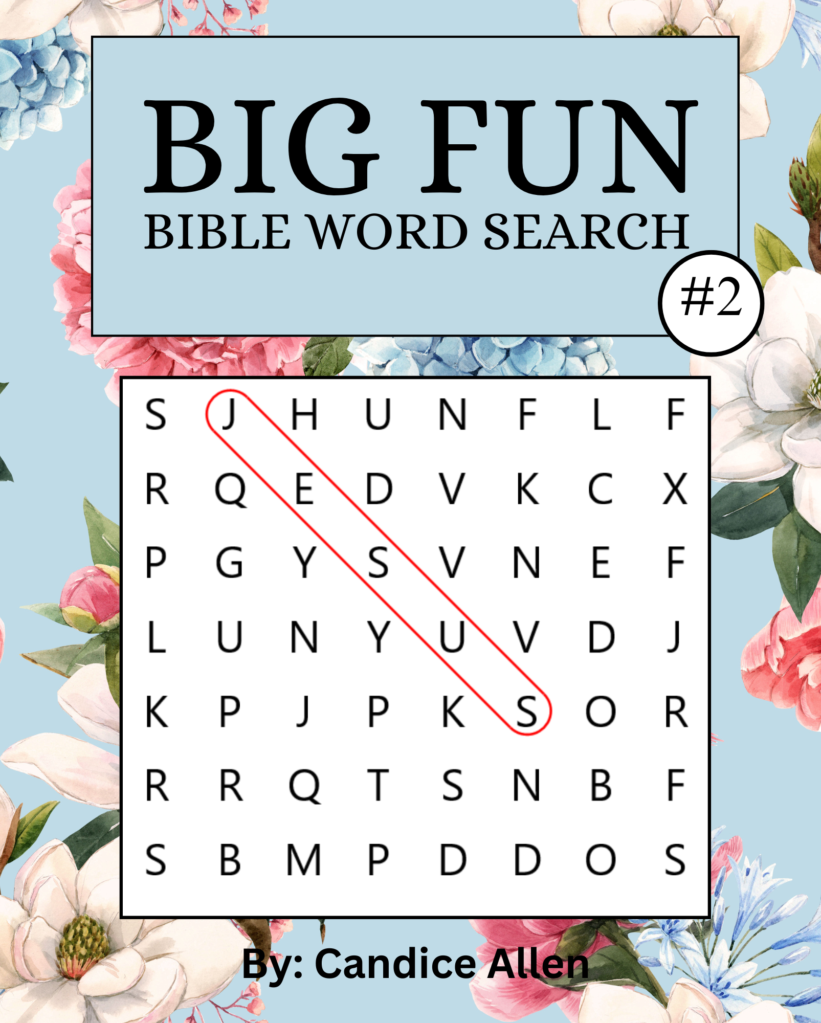 Big Fun Bible Word Search #2 (Physical Copy)