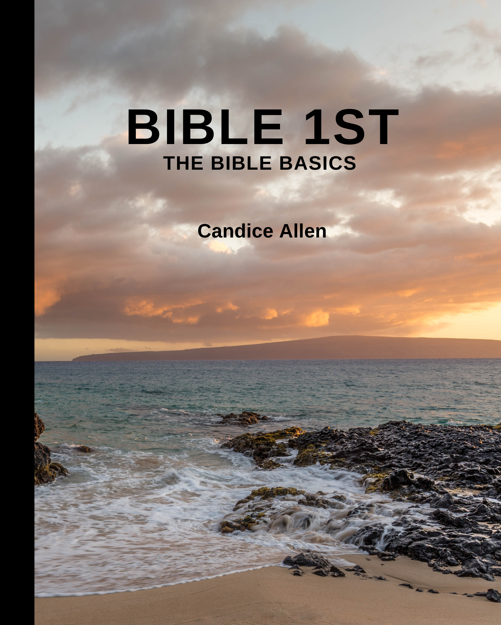 Bible 1st Bible Basics for adults (Physical Copy)