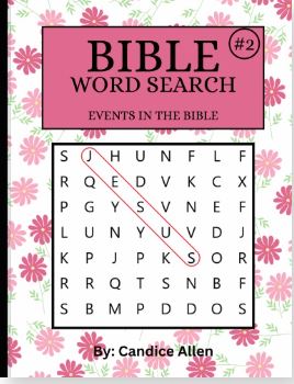Bible Word Search #2 (Physical Copy)