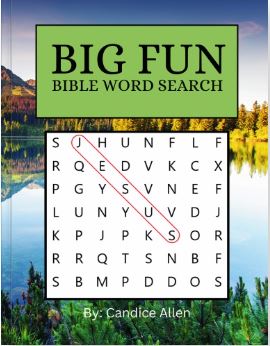 Big Fun Bible Word Search #1 (Physical Copy)