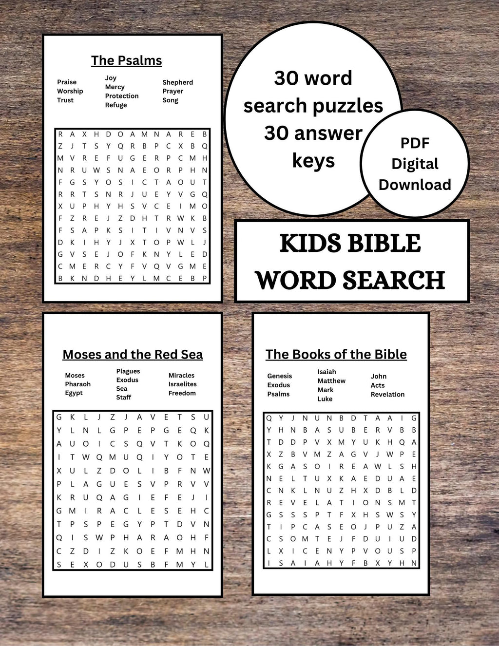 Kids Bible Word Search Digital