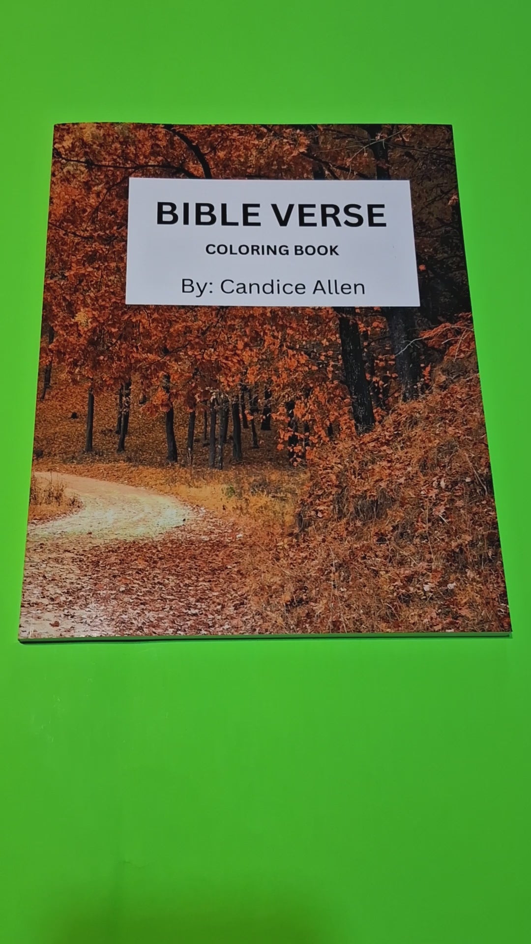 Bible Verse Coloring Book (Physical Copy)