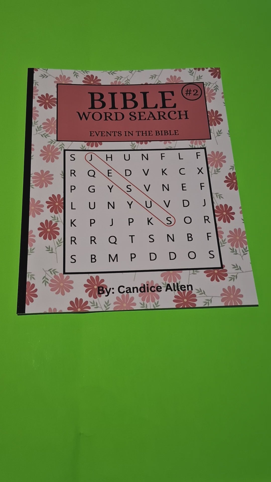 Bible Word Search #2 (Physical Copy)