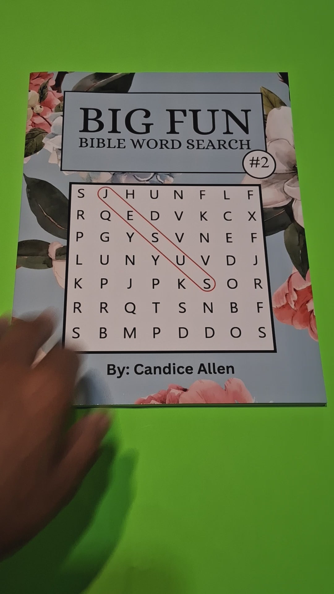 Big Fun Bible Word Search #2 (Physical Copy)