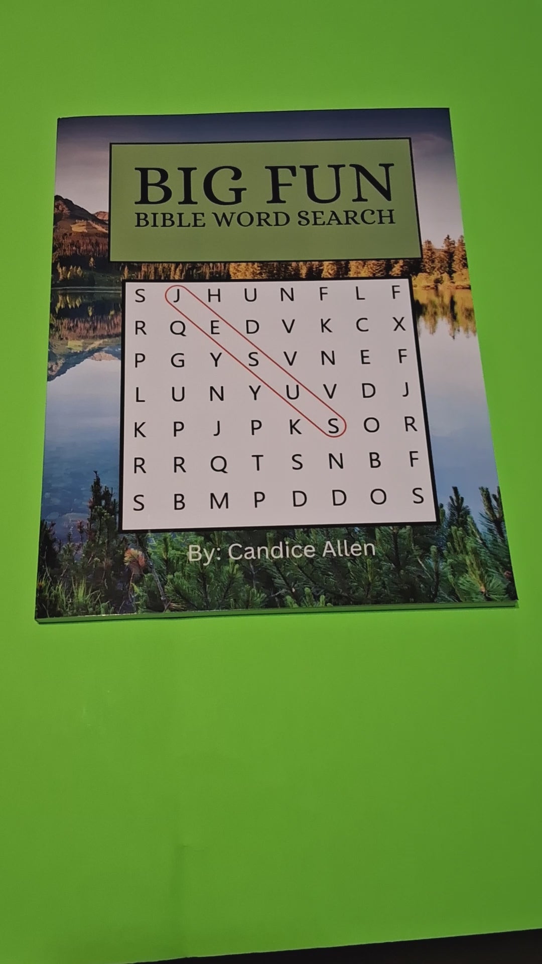Big Fun Bible Word Search #1 (Physical Copy)